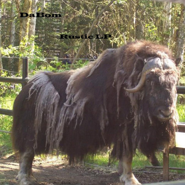 Rustic LP