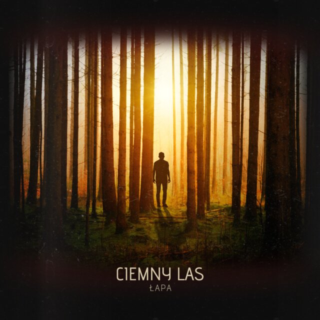 Ciemny las