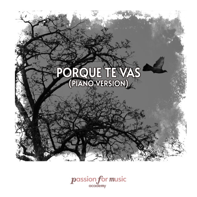 Porque Te Vas (Piano Version)