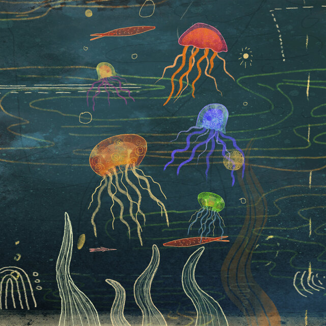 Jellyfish Reef