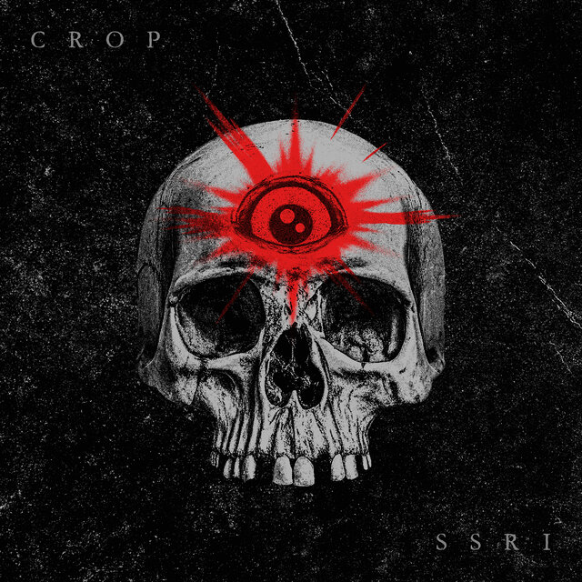 S.S.R.I