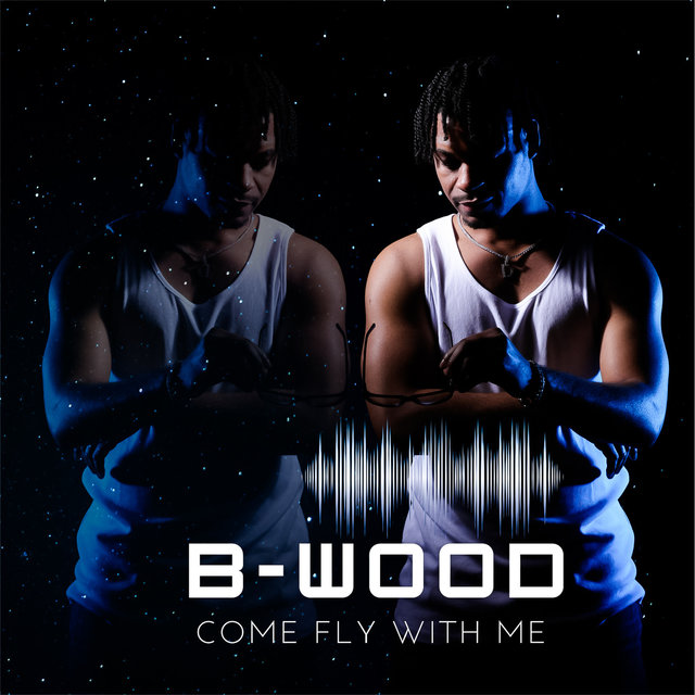 Come Fly With Me