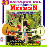 Piquetes de Hormiga
