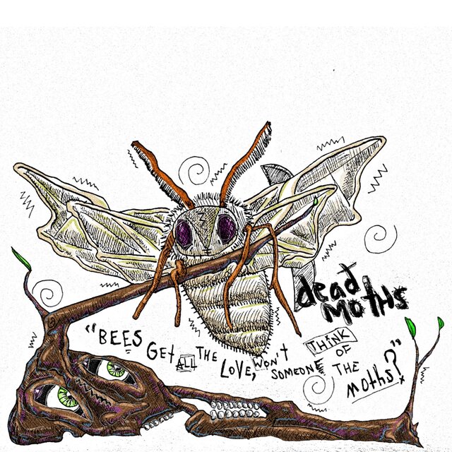 Bees Get All the Love, Won't Someone Think of the Moths?
