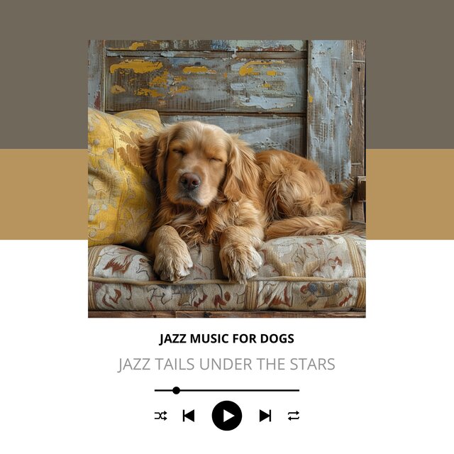 Jazz Tails Under the Stars