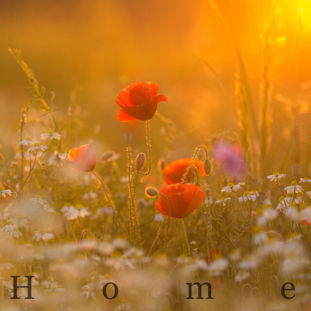 Home