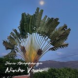 Ninho Vazio - Eu Vejo