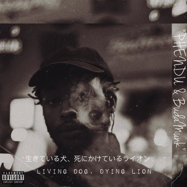 Living Dog, Dying Lion