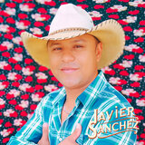 Mi Rumbo Profesional