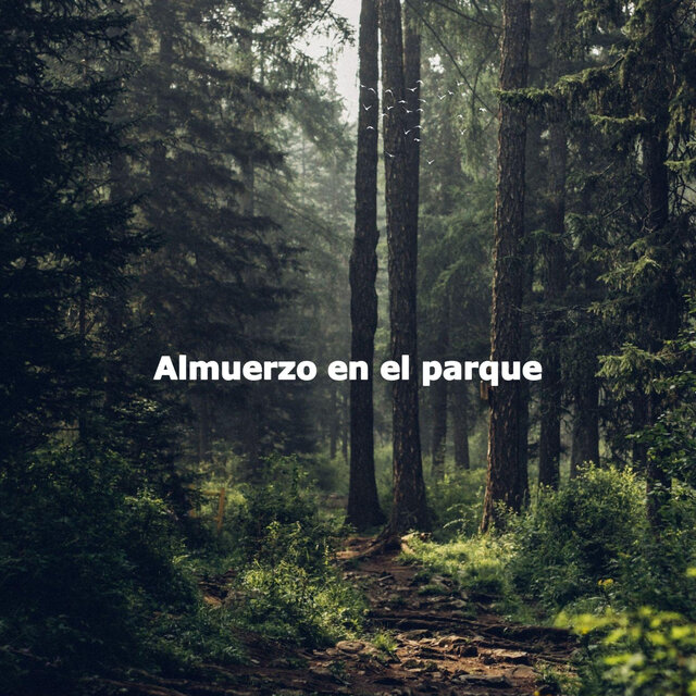 Almuerzo en el parque