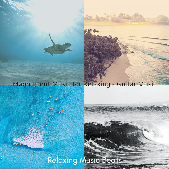 Magnificent Music for Relaxing - Guitar Music