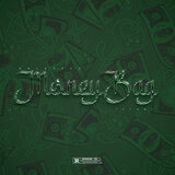 MONEY BAG