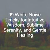 Calming Breezes with White Noise