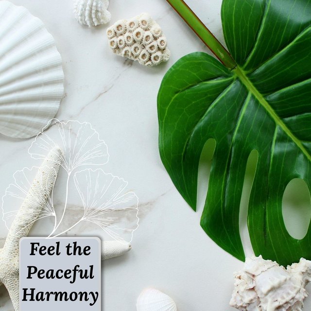 Feel The Peaceful Harmony
