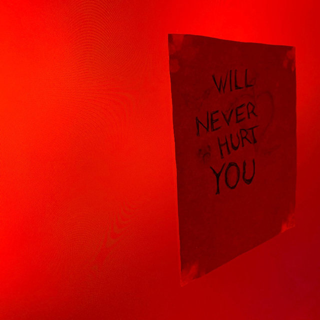 Will Never Hurt You