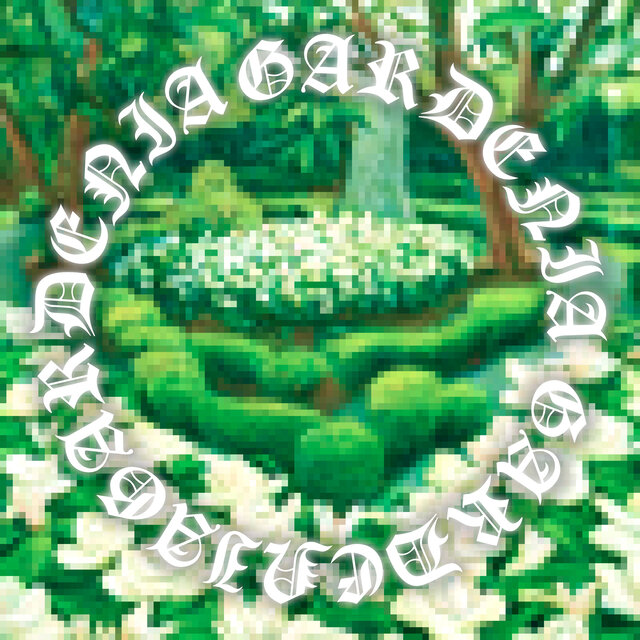 Gardenia