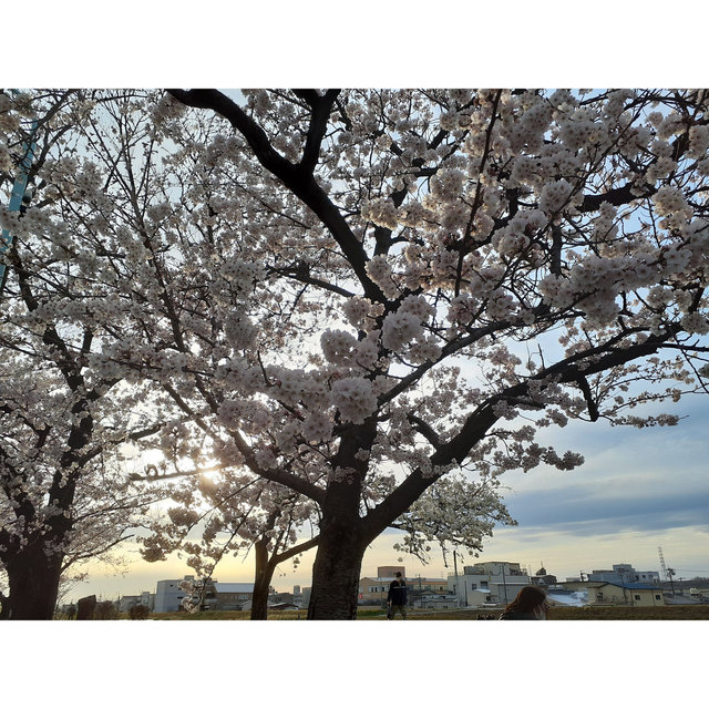Spring