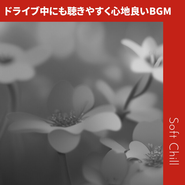 ドライブ中にも聴きやすく心地良いBGM
