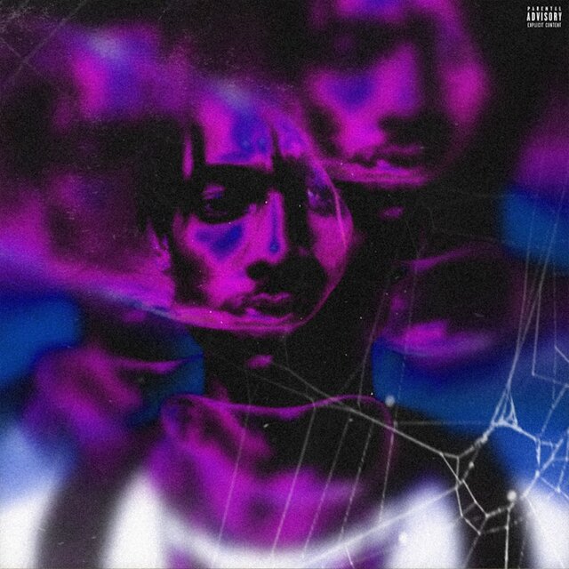 MOLLYWORLD