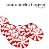 Into Gold (Almighty Radio Edit)