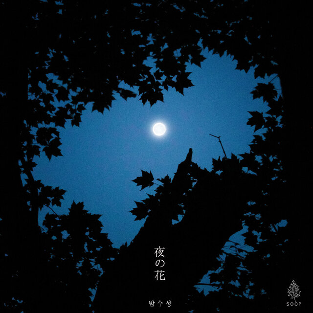 Flowers Of The Night (夜の花)