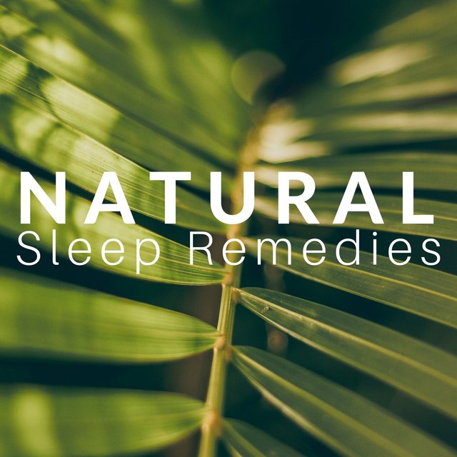 Natural Sleep Remedies: 21 Tips to Improve Your Sleep