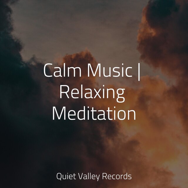 Calm Music | Relaxing Meditation
