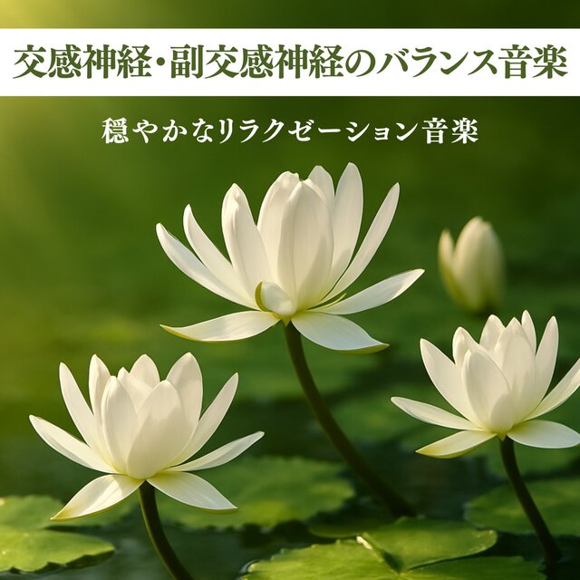 Balance Music for Sympathetic and Parasympathetic Nerves - Gentle Relaxation Music