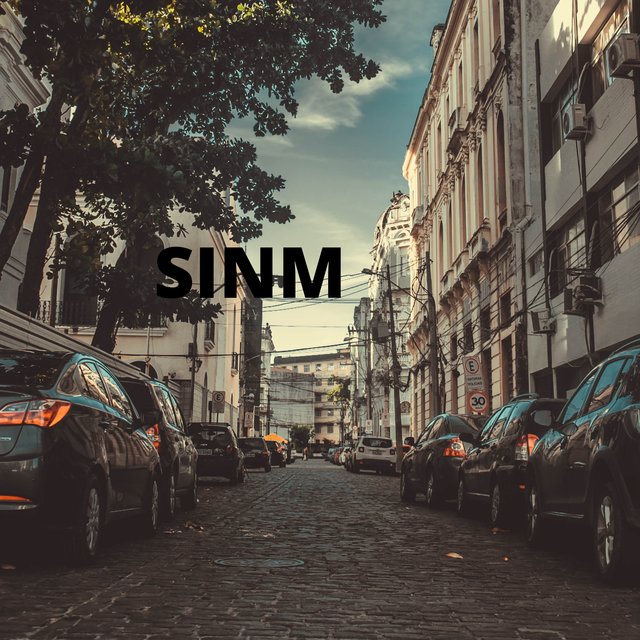SINM