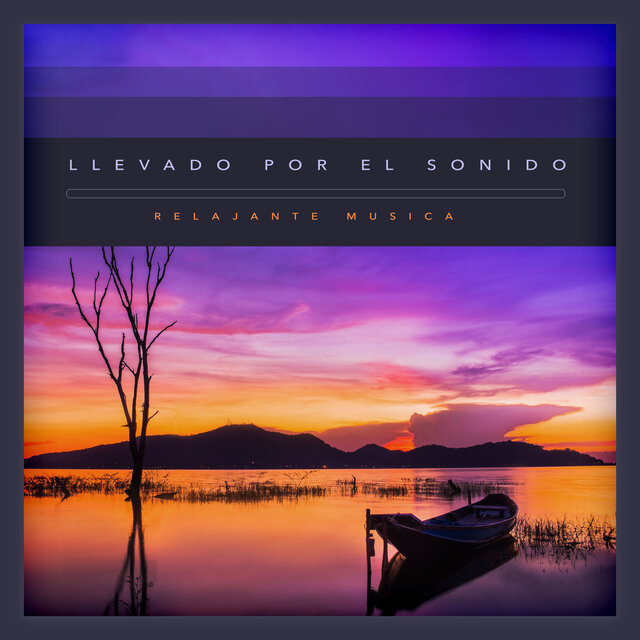 Llevado por el sonido