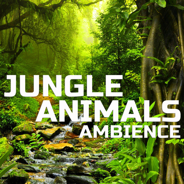 Jungle Animals Ambience