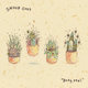 Cover art for album Body Feel by Shook Ones