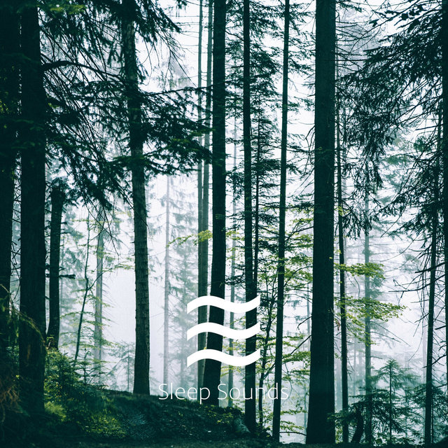Restful Calming Nature
