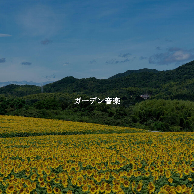 ガーデン音楽