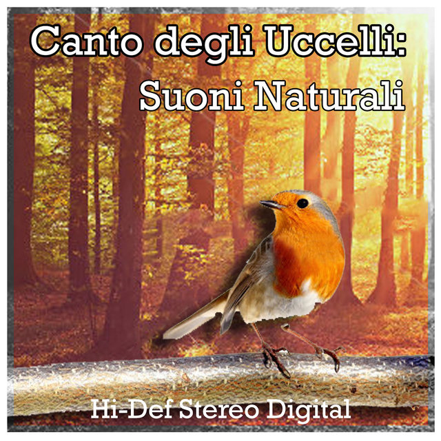 Canto degli Uccelli