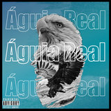 Águia Real