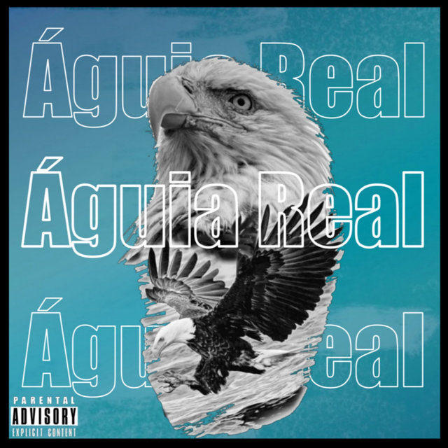 Águia Real