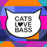 BMG (Aless V. Remix)