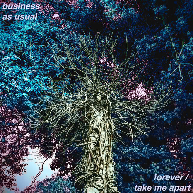 Forever / Take Me Apart
