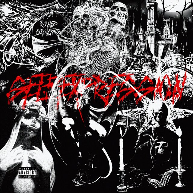 Selfexpression (Remix)