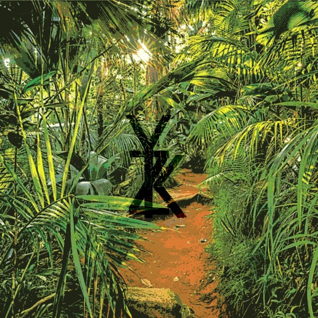 Jungle