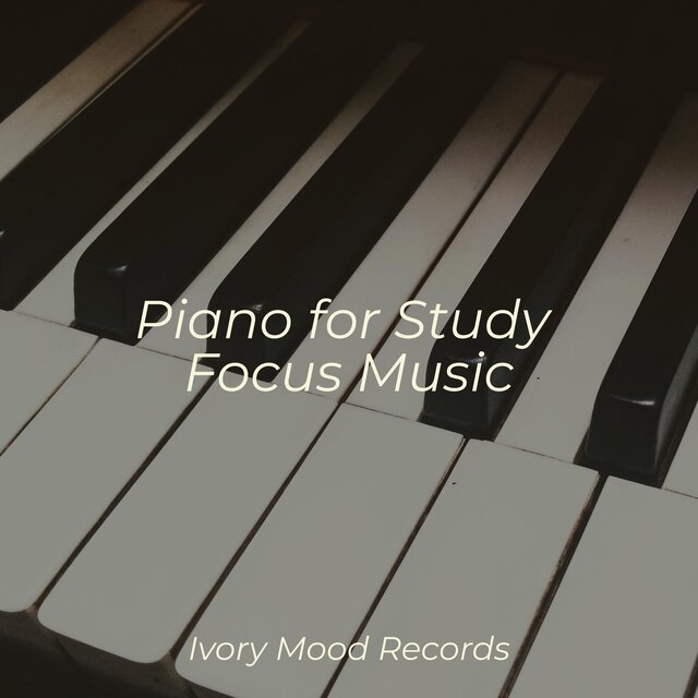 Piano for Study Focus Music