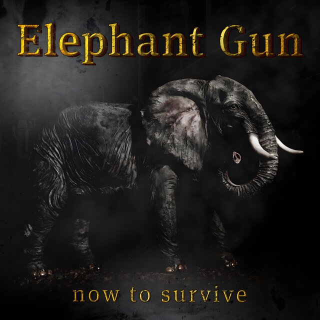 Now to Survive