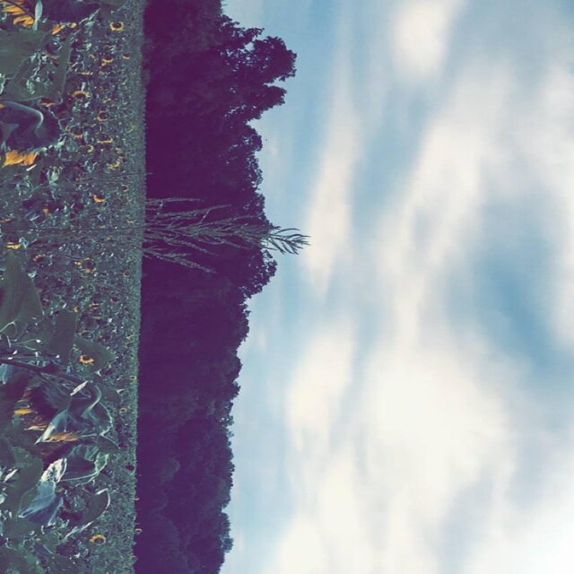 Pretty Things