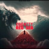 RED SEA