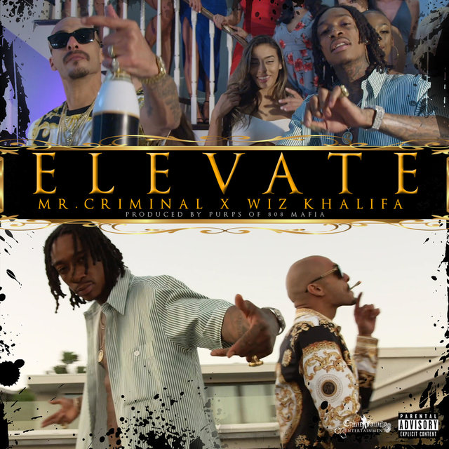 Elevate