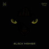 Black Mamba