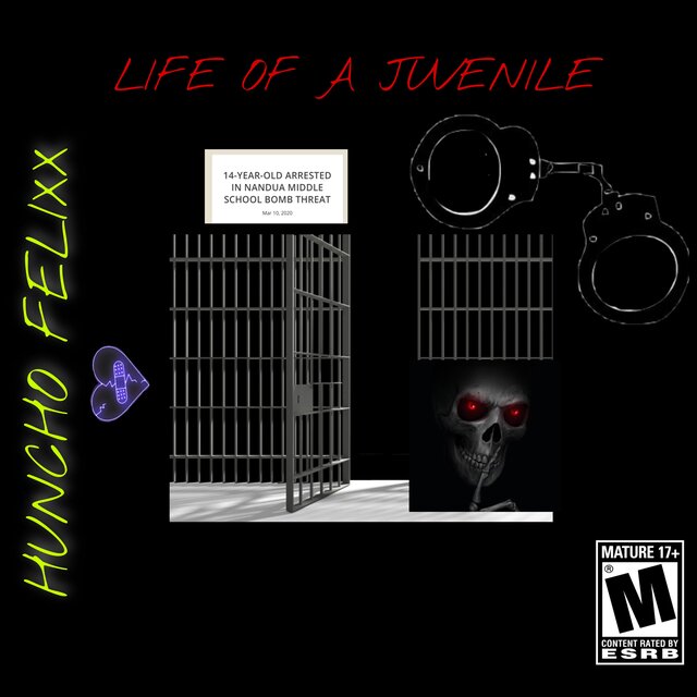 Life Of A Juvenile