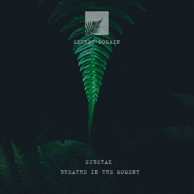 Breathe in the Moment