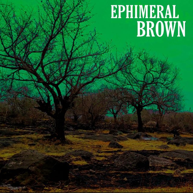 EPHIMERAL BROWN